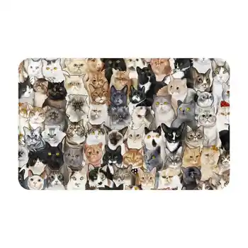 Catmina 2017-שלוש רך משטח רגליים חדר סחורות השטיח השטיח חתולים